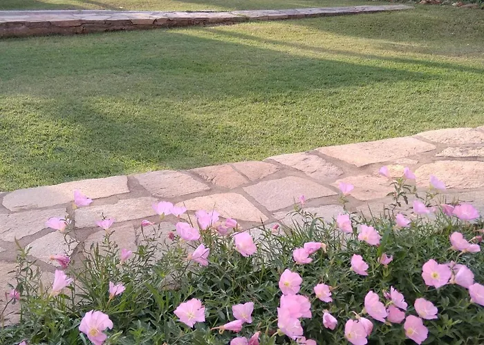 Apartament Klementine's House *